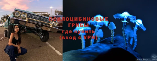 стафф Новодвинск