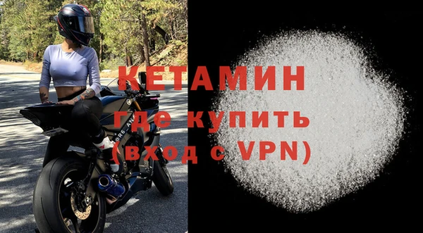 стафф Новодвинск