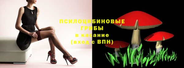 jwh Новозыбков