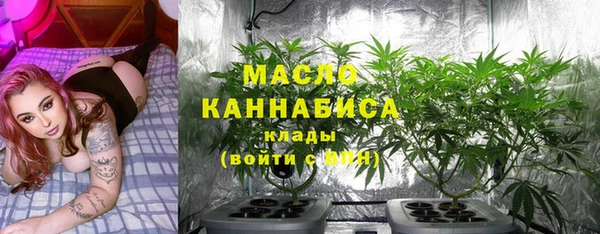 стафф Новодвинск