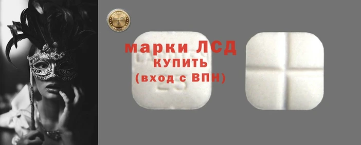 стафф Новодвинск