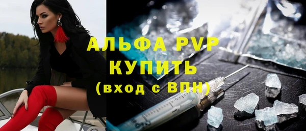 стафф Новодвинск