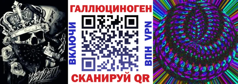 Псилоцибиновые грибы Psilocybine cubensis  закладка  Великий Новгород 
