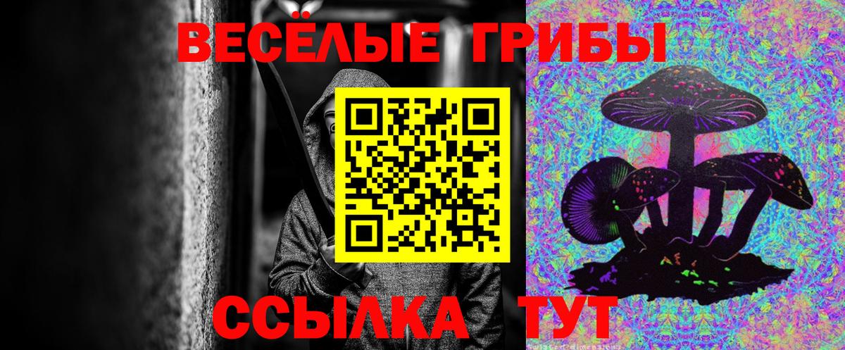 Галлюциногенные грибы Psilocybine cubensis  Великий Новгород  Галлюциногенные грибы MAGIC MUSHROOMS 